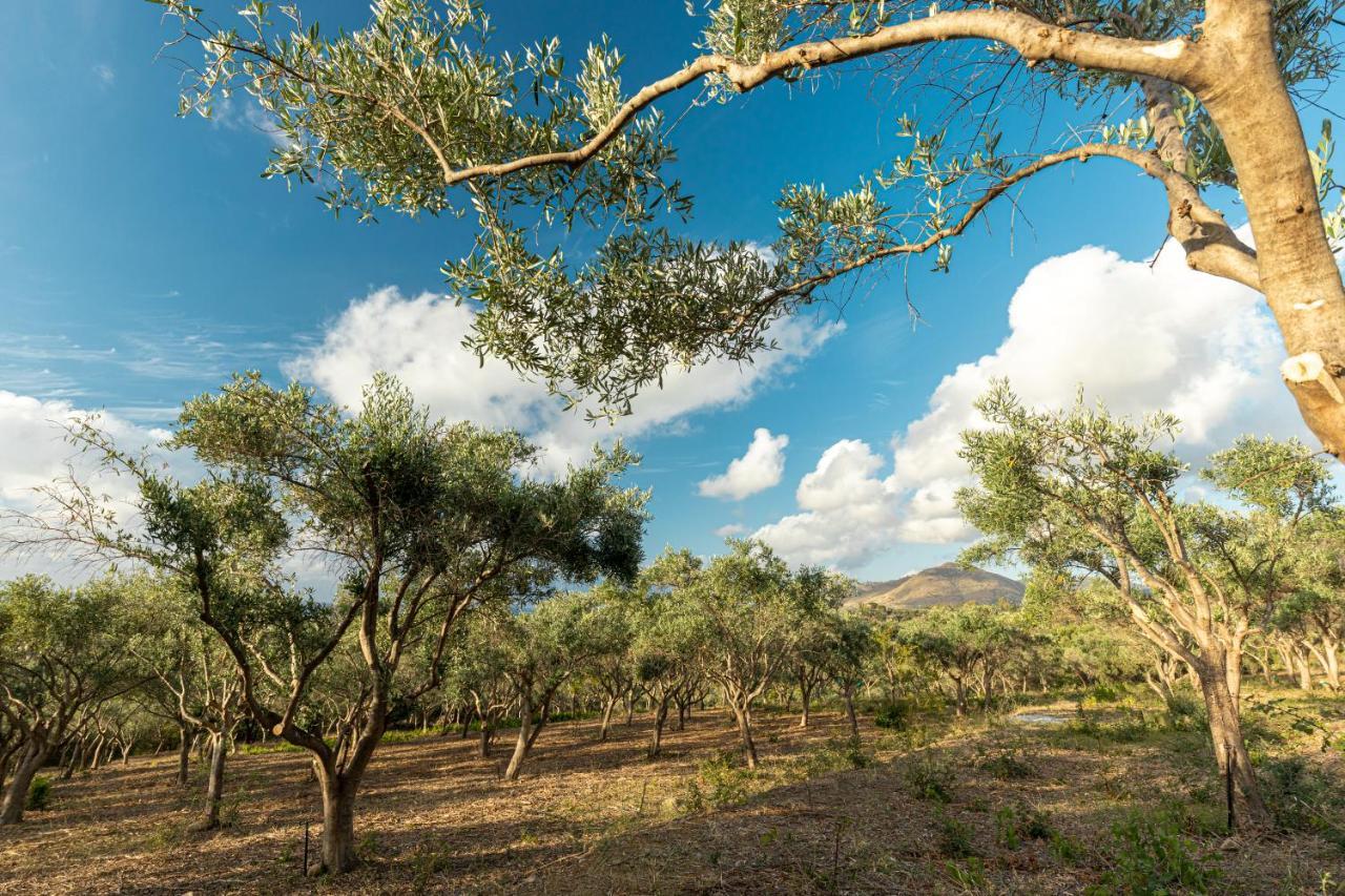 Solemar Sicilia - Le Casette Di Calzata Campofelice Di Roccella Exterior foto